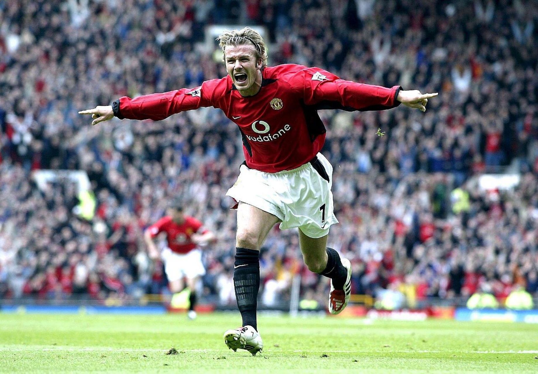 城的众多球 城的众多球